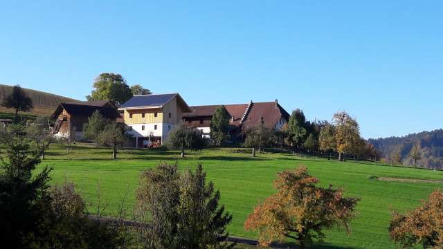 Bauernhof Bättwil, Burgdorf