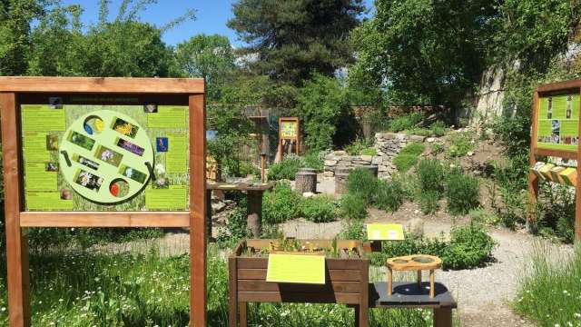 Eine Wildstation erleben