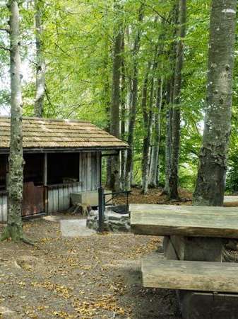 Grillstelle Eywäldli