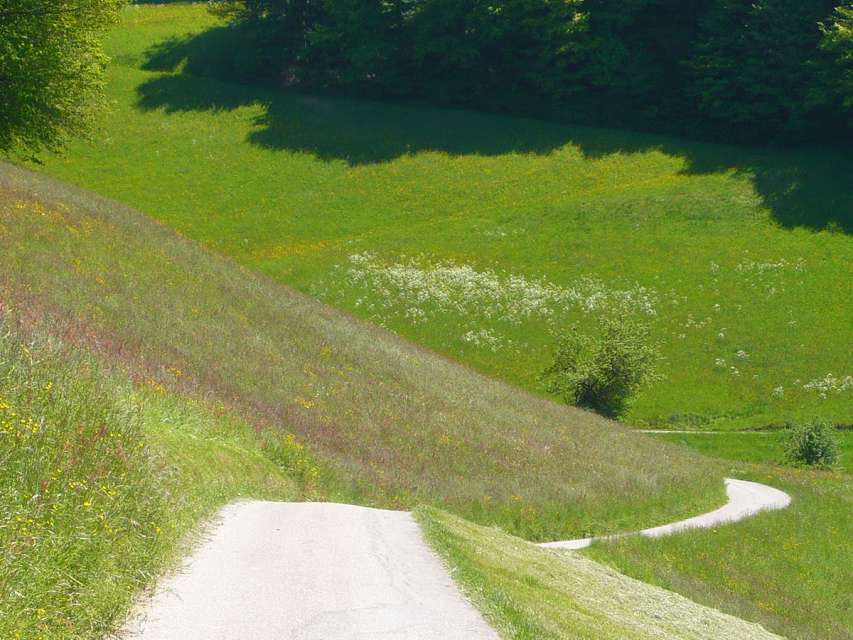 Die Herzroute, eine gelebte Utopie