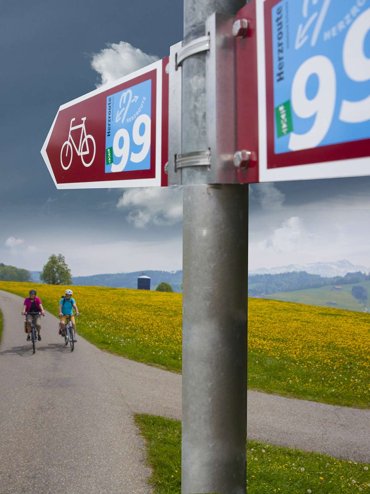 Ost-West oder umgekehrt?