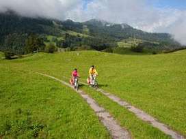 Alp Kienberg