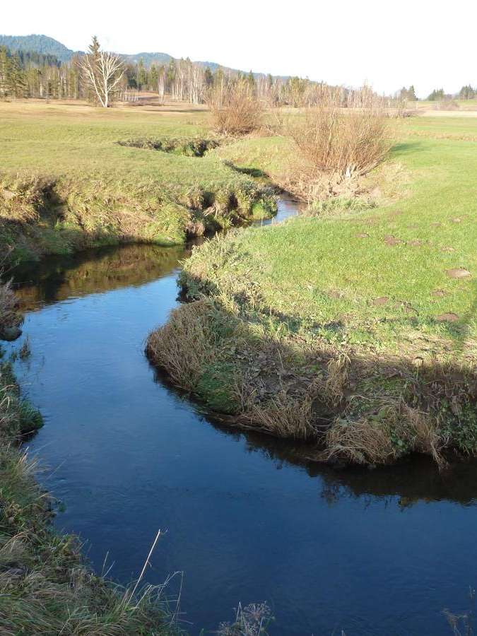 Rothenthurmer Moor