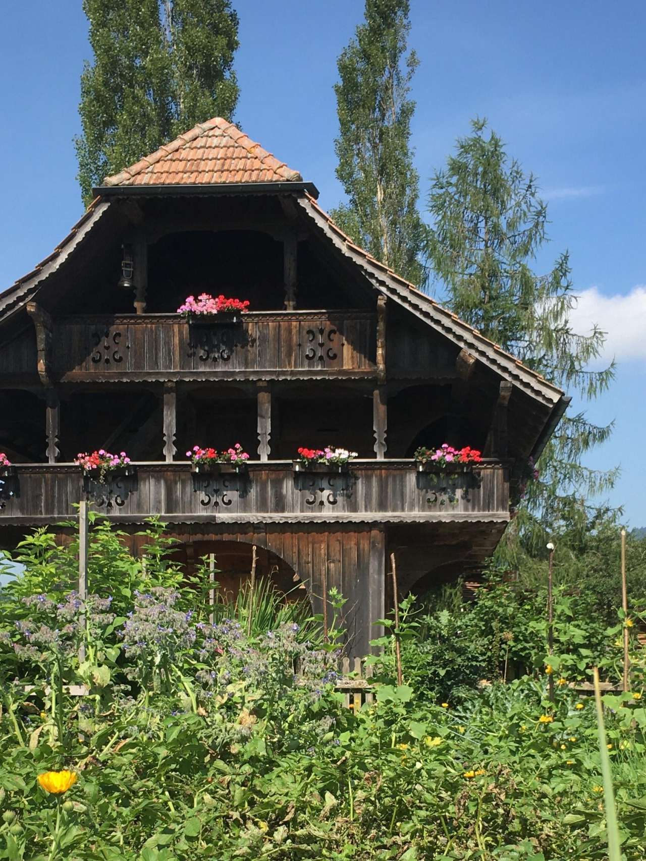 Buchi's BnB, Signau