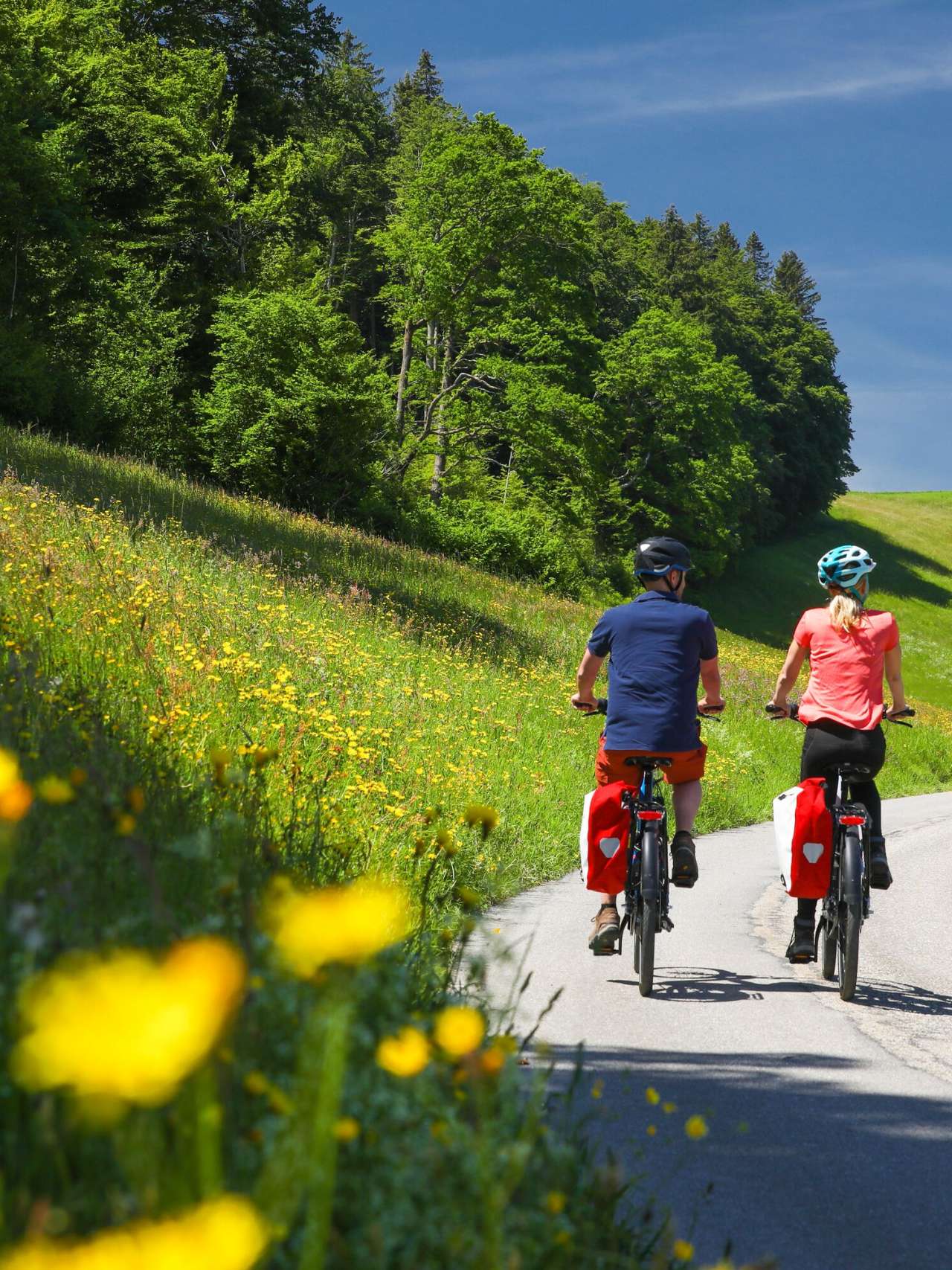 E-Bike Hub Emmental