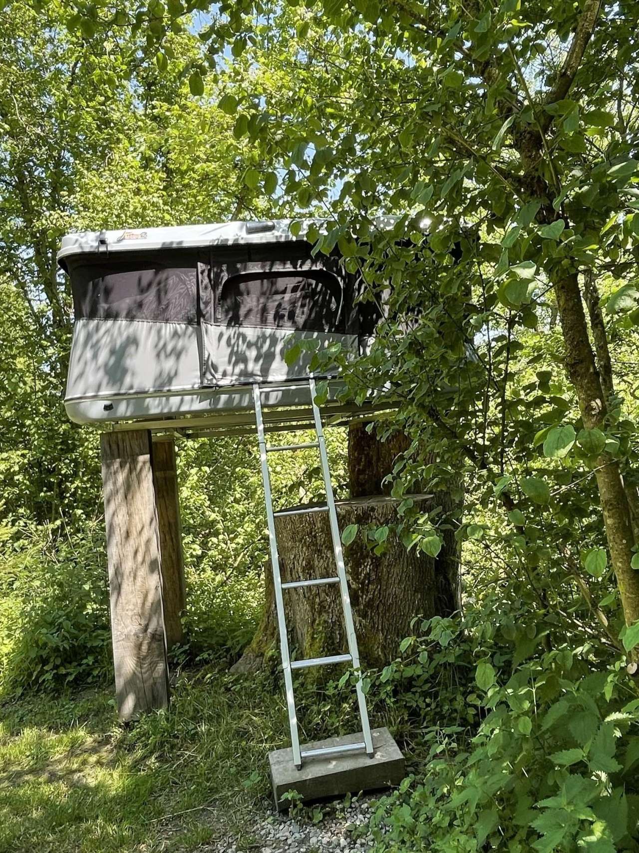 Bivouac dans les arbres