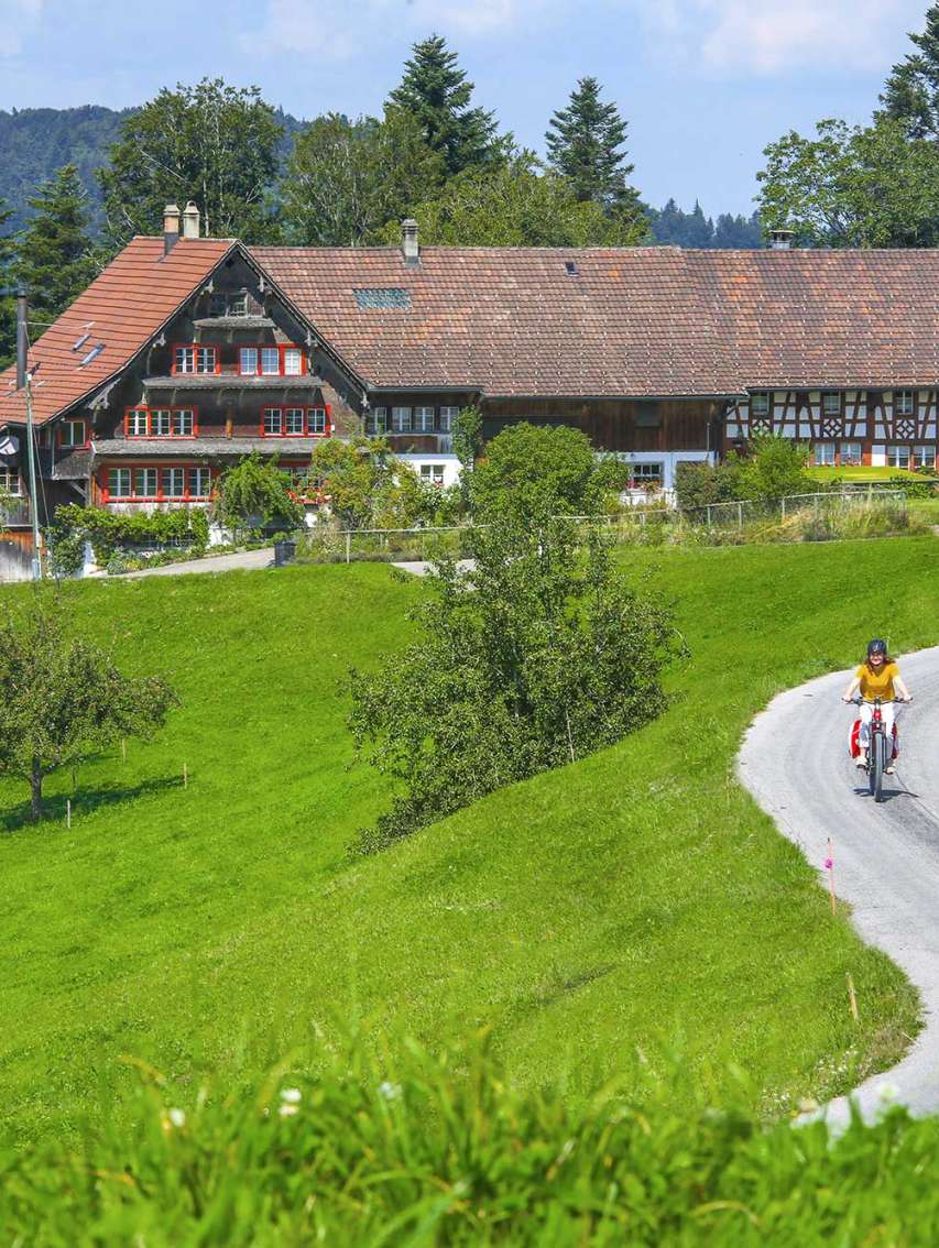 Herzschlaufe Wil Südast