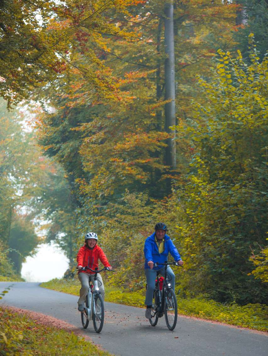 Herzschlaufe Seetal Westast