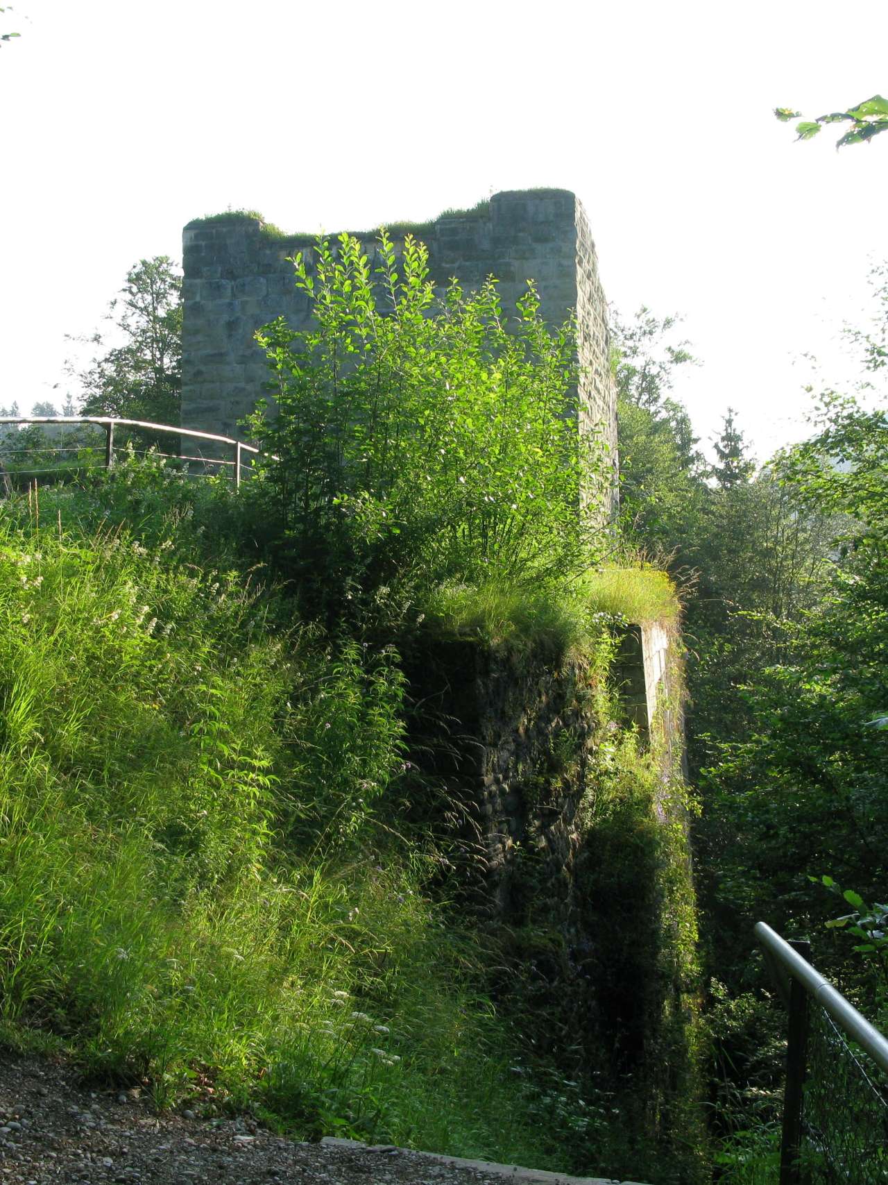 Ruine Grasburg